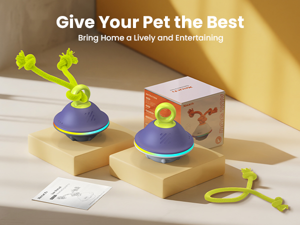 interactive dog toy