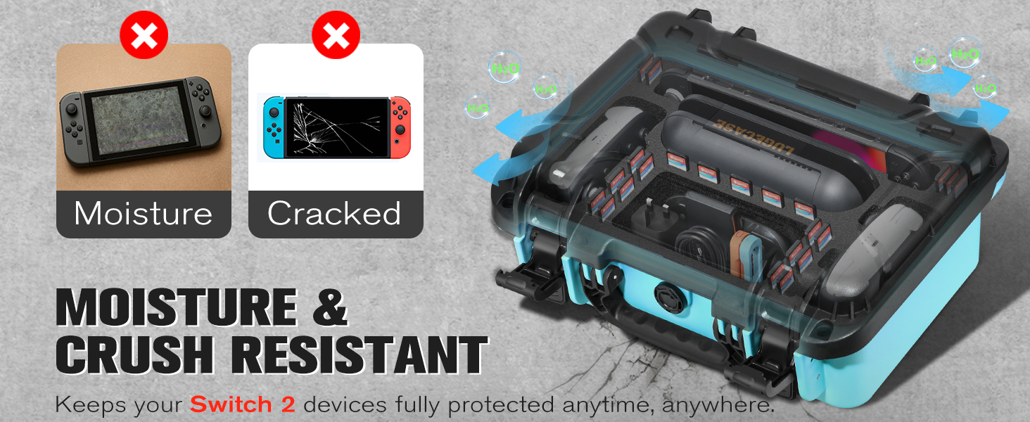 nintendo switch 2 carrying case for dock
