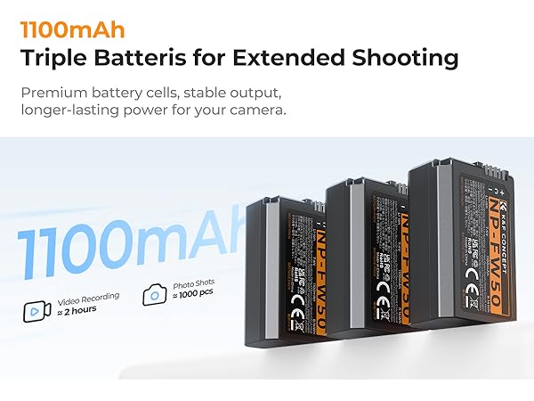 a6000 battery