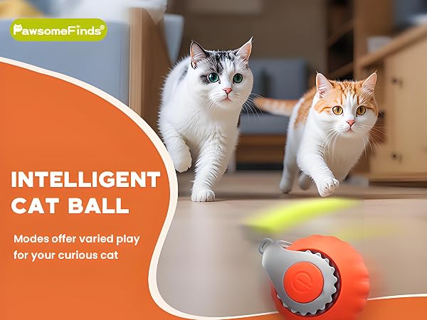 cat toy ball