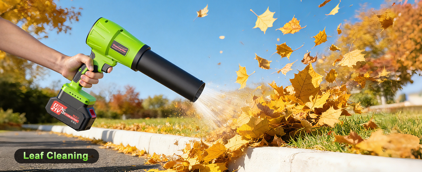 Leaf Cleaning