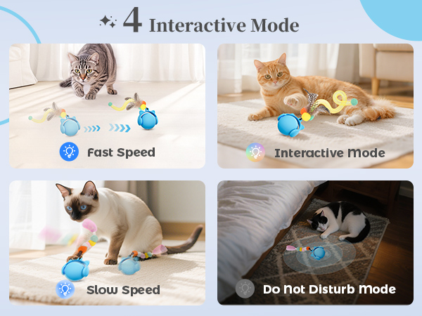 cat toy ball