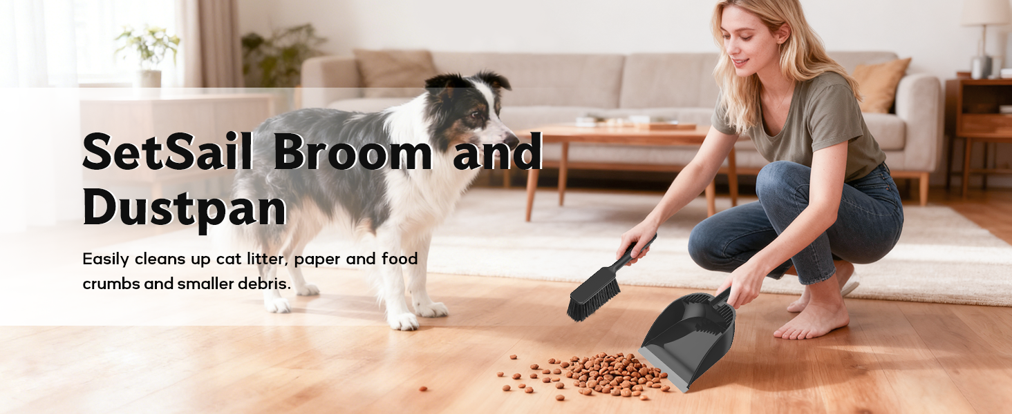 Small Dustpan and Brush Set