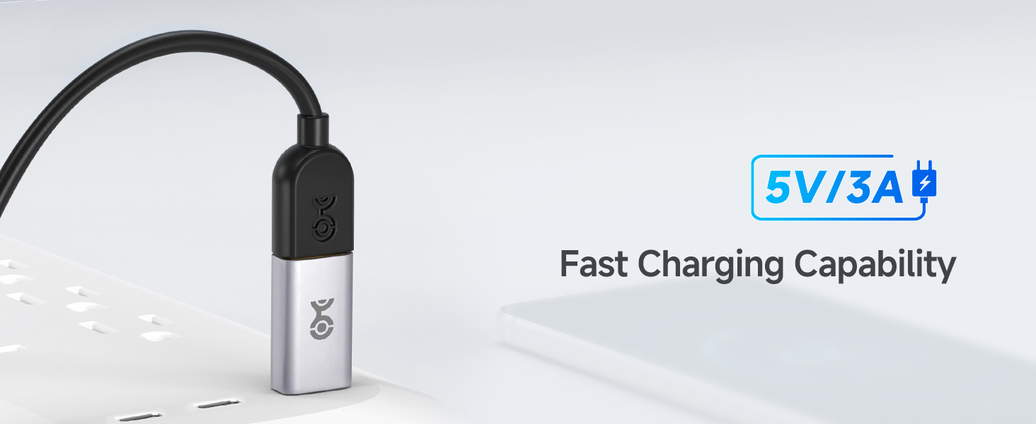 10Gbps USB C to USB Adapter