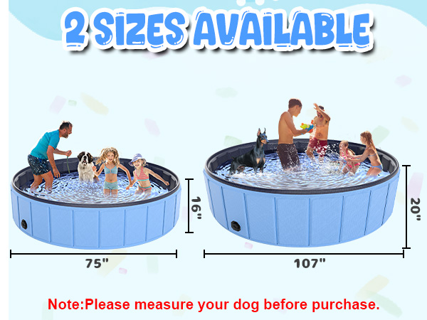 dog pool