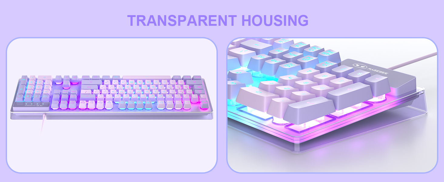 Transparent Housing