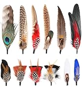 FeelfunFeather Hat Feathers, 12PCS Natural Feathers Peacock Feathers for Hats, Colorful Real Feat...