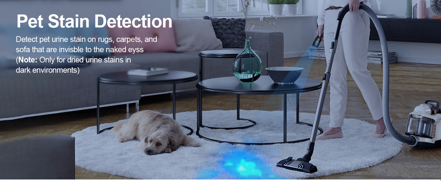 pet stain detection