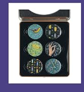 Display of decorative round pins or buttons with artistic designs featuring nature and whimsical illustrations in blue, gold, and black colors.
