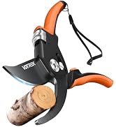 Pruning Shears