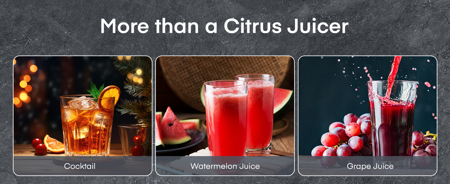 manual juicer