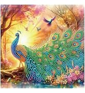 DIADAY Peacock Diamond Painting Kits for Adults, Diamond Art 12x12 Inch | Special Shape 5D Crysta...