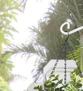 plants hooks 13inch
