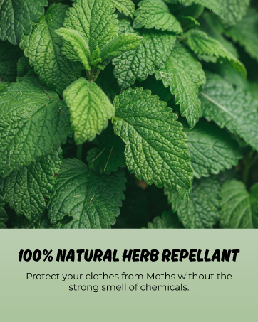 moth repellent