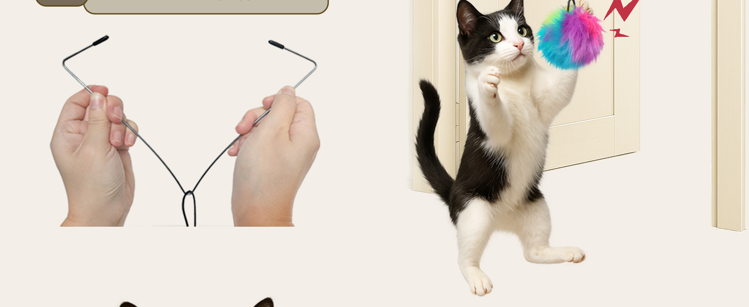 must have for cats