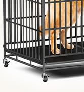 dog crate