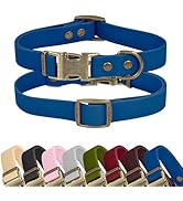 Wisedog Rubber Dog Collar for Medium Dogs - Waterproof Dog Collar with Quick Release Metal Buckle...
