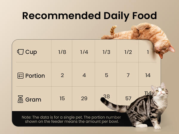 automatic cat feeder