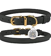 dog collar
