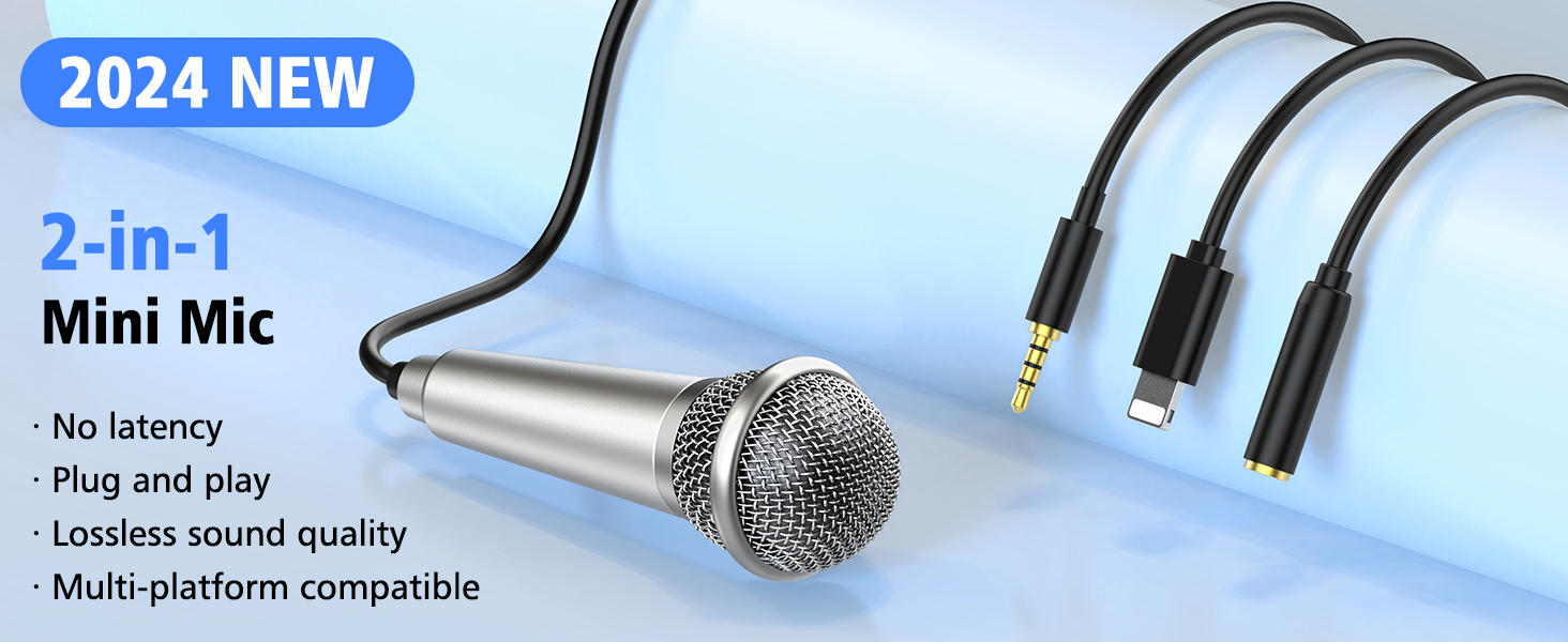 Mini microphone