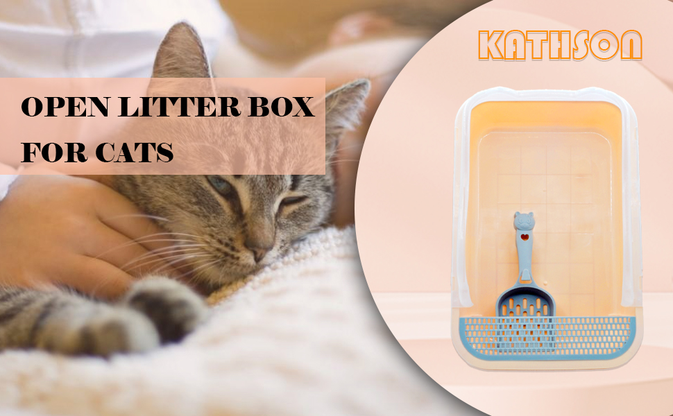 Kitty Litter Pan