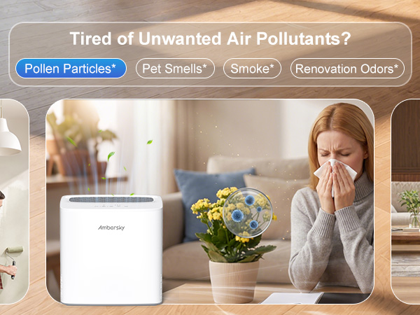 Pollen Particles Air Purifier