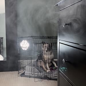 Rescue+Retriever on pet crate