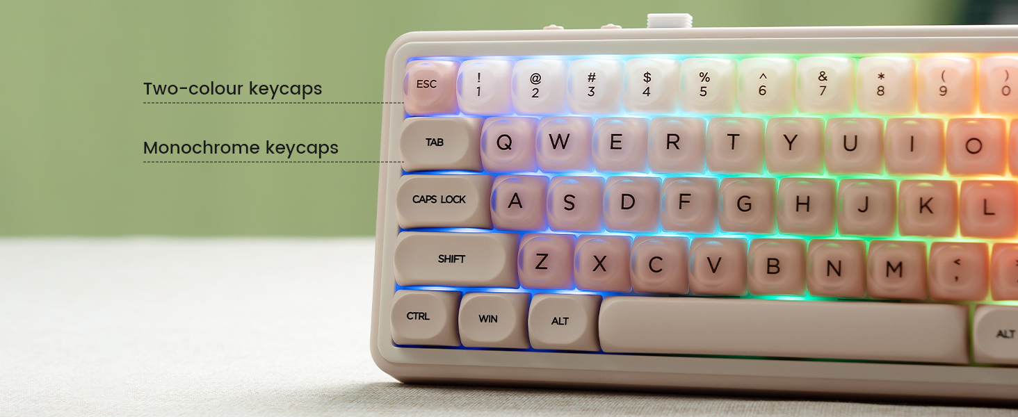 pbt keycaps