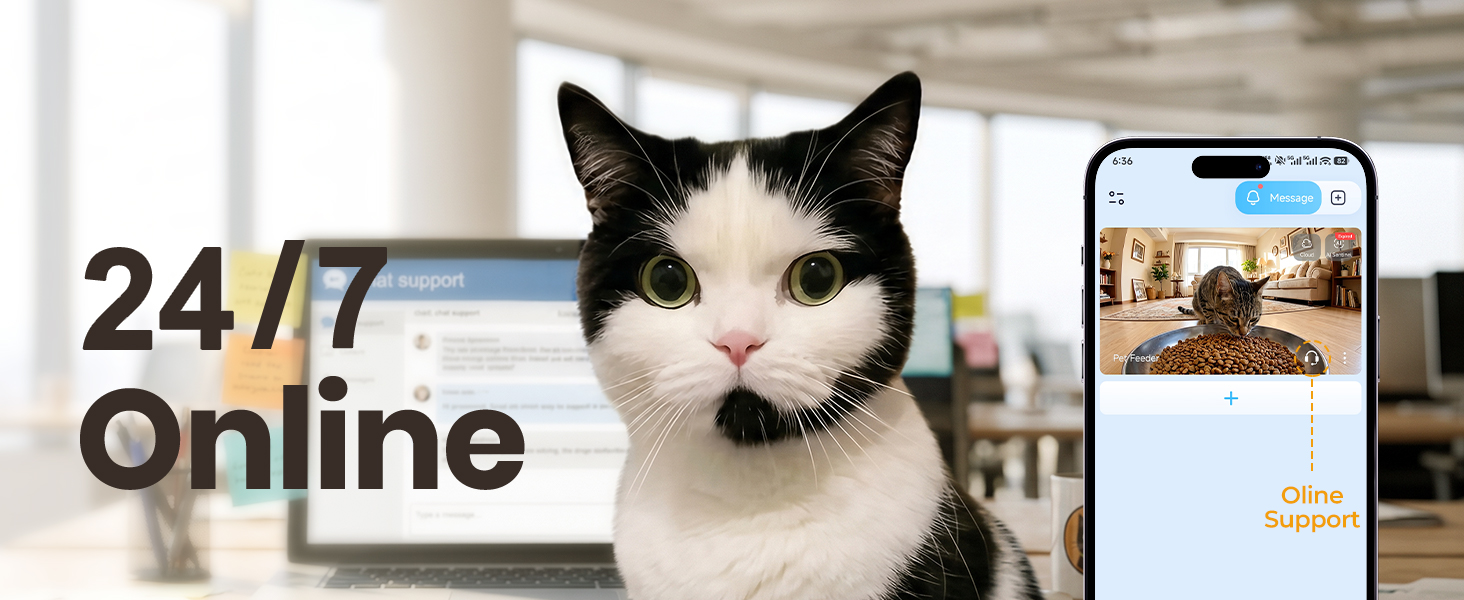 automatic cat feeder