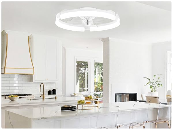 ceiling fans with lights