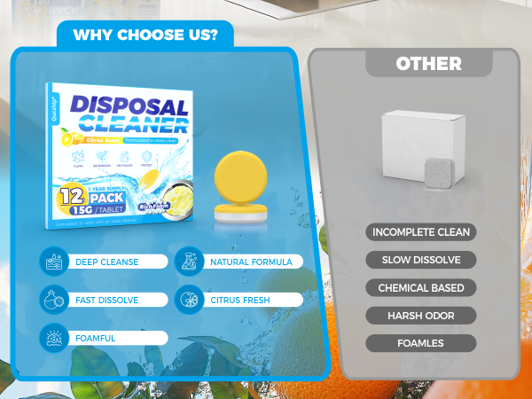 Garbage Disposal Cleaner