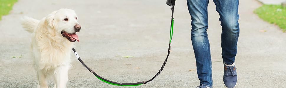 leashrr 2.0 dog leash comes with a dual-use poop bag dispenser and treat holder
