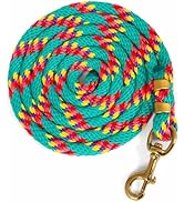 Jeffers Equine Nylon Horse Lead Rope, 5/8" x 8', Turquoise - Heavy Duty, Durable Nylon Rope with ...