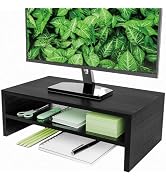 Monitor Stand Riser, 2-Tier Wood Office Desk Storage Organizer for Laptop, Computer