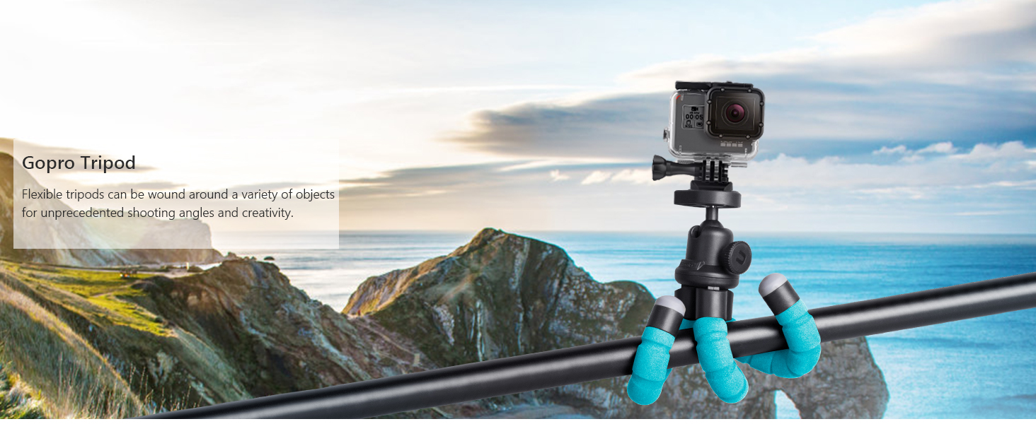 gopro tripod