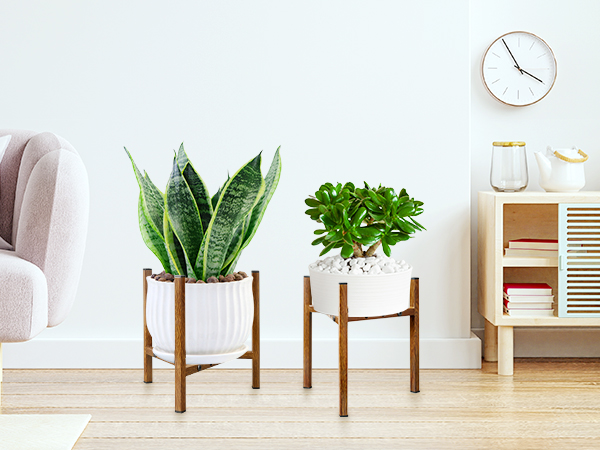 Plant Stand Indoor