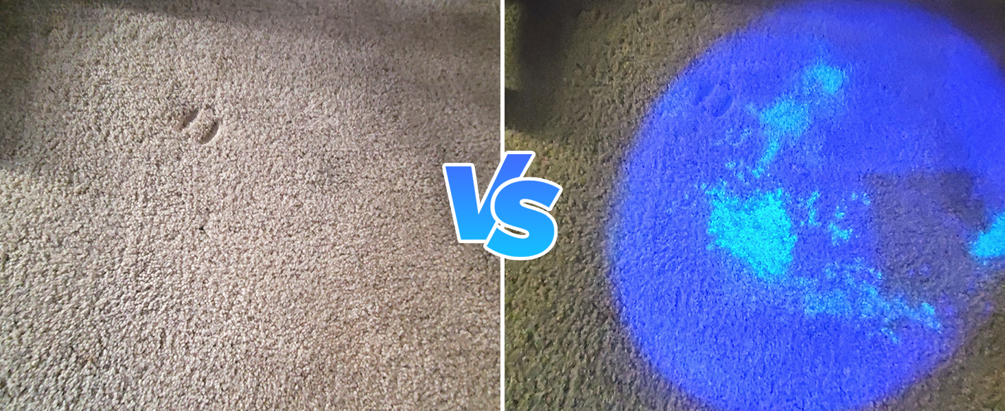365nm blacklight flashlight