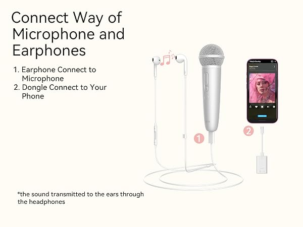 mic with earphone