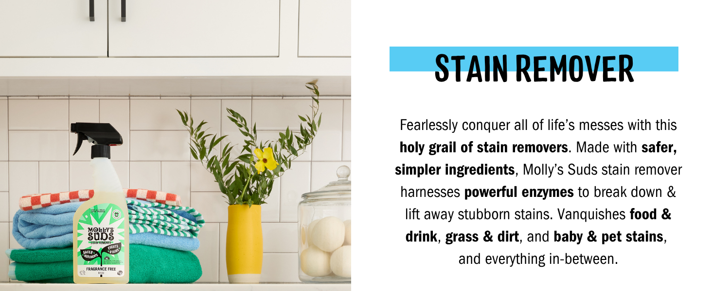 stain remover tile 2 desktop