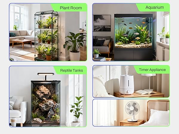 timer surge protector power strip