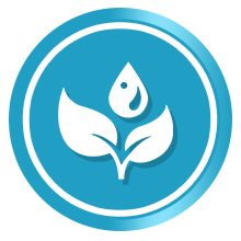 eyeglass cleaner ultrasonic cleaning solution concentrated professional results optometrist results