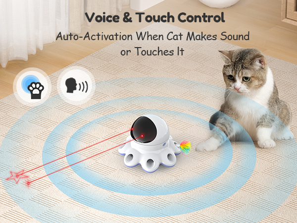 Indoor Cat Toys
