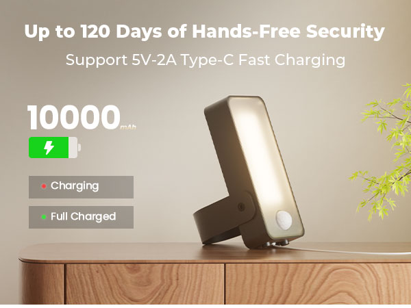 10000mAh rechargeable battery