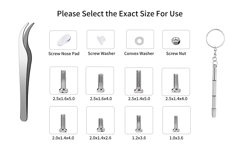 Tiny Stainless Steel Screws