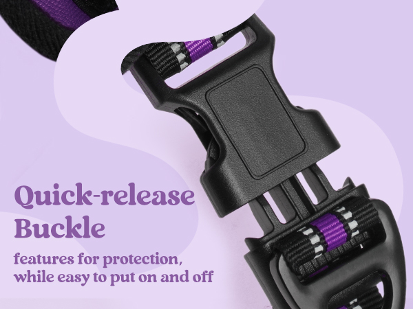 buckle