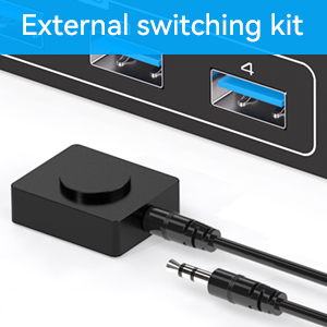 Button Switch