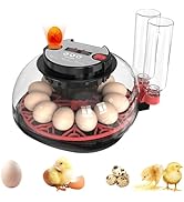 Egg Incubators for Hatching Eggs, Incubator for 12 Eggs Automatic Turning with Temperature Contro...