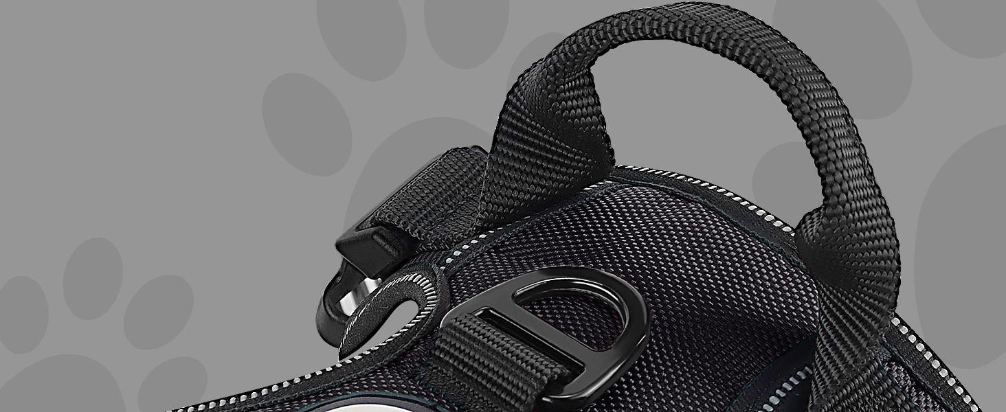 dog harness