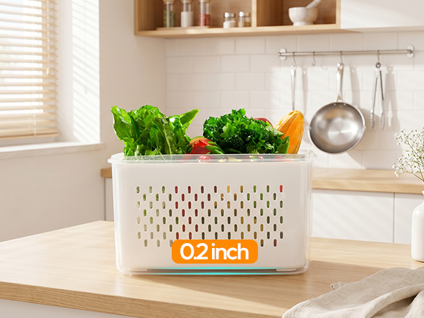 fruit storage containers with colander