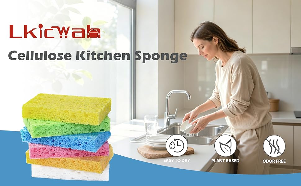 sponge